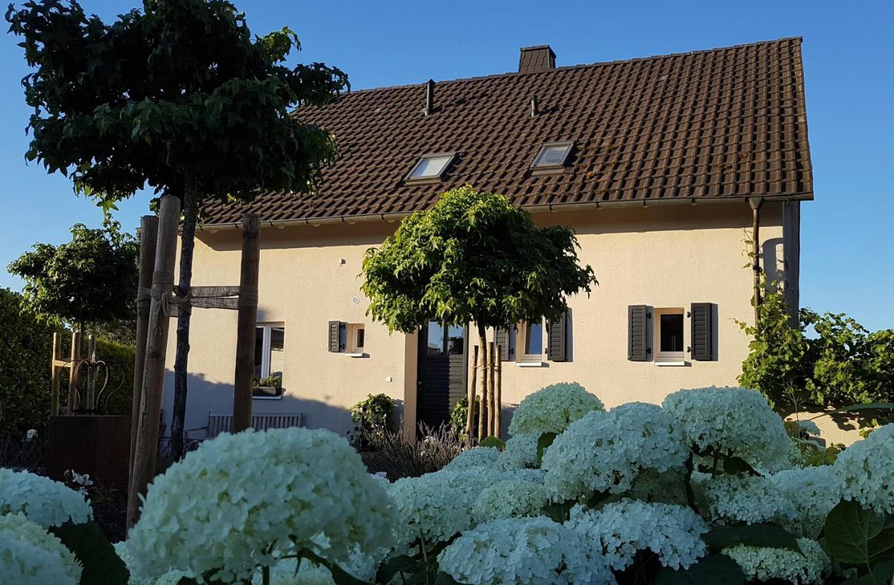 Gleisberg3 - Suedliche Weinstrasse Apartment Billigheim-Ingenheim Екстериор снимка